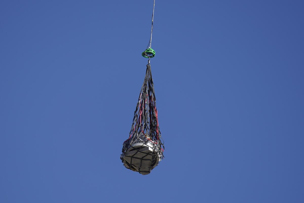 A capsule hangs in a net.