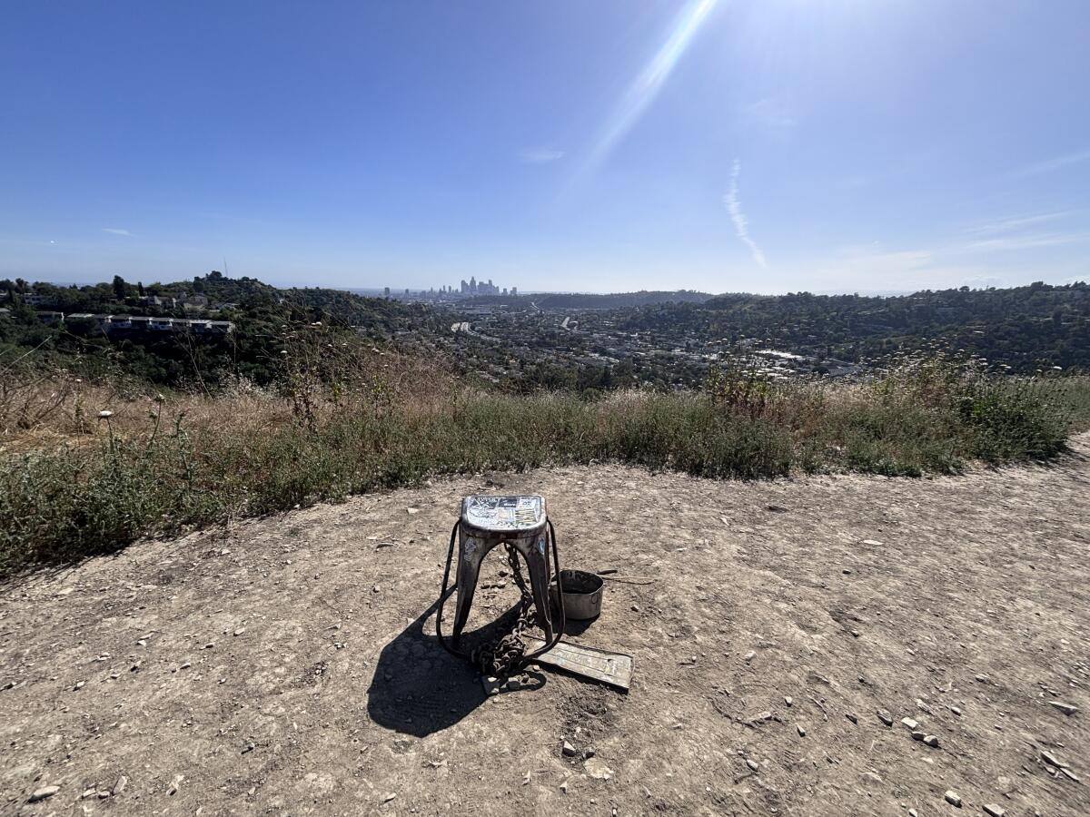 A metal stool on a dirt path with tall grasses and a view of a downtown skyline in the distance.