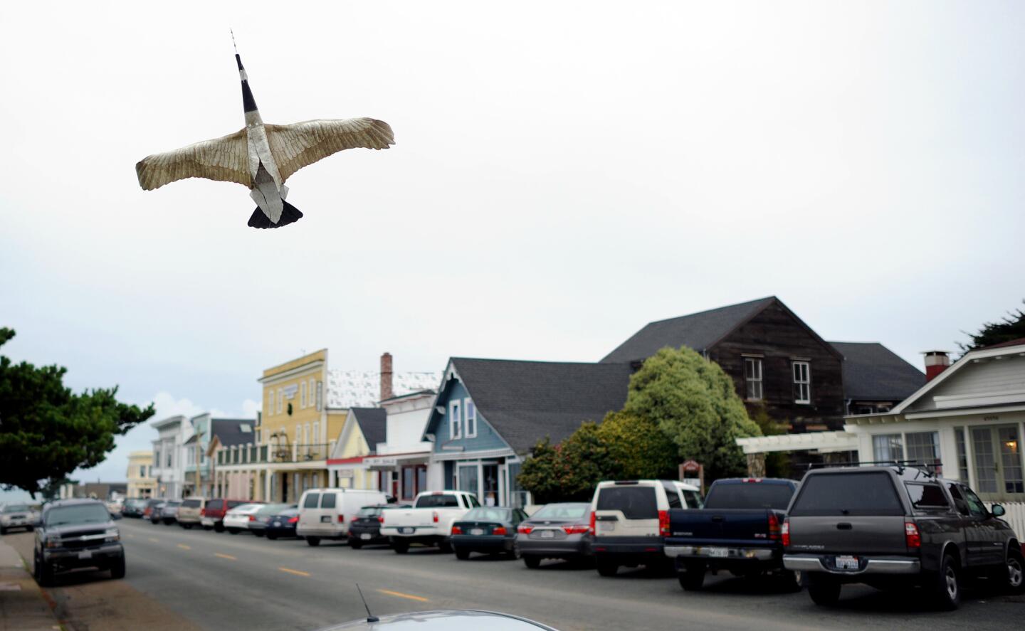 Mendocino, Calif.