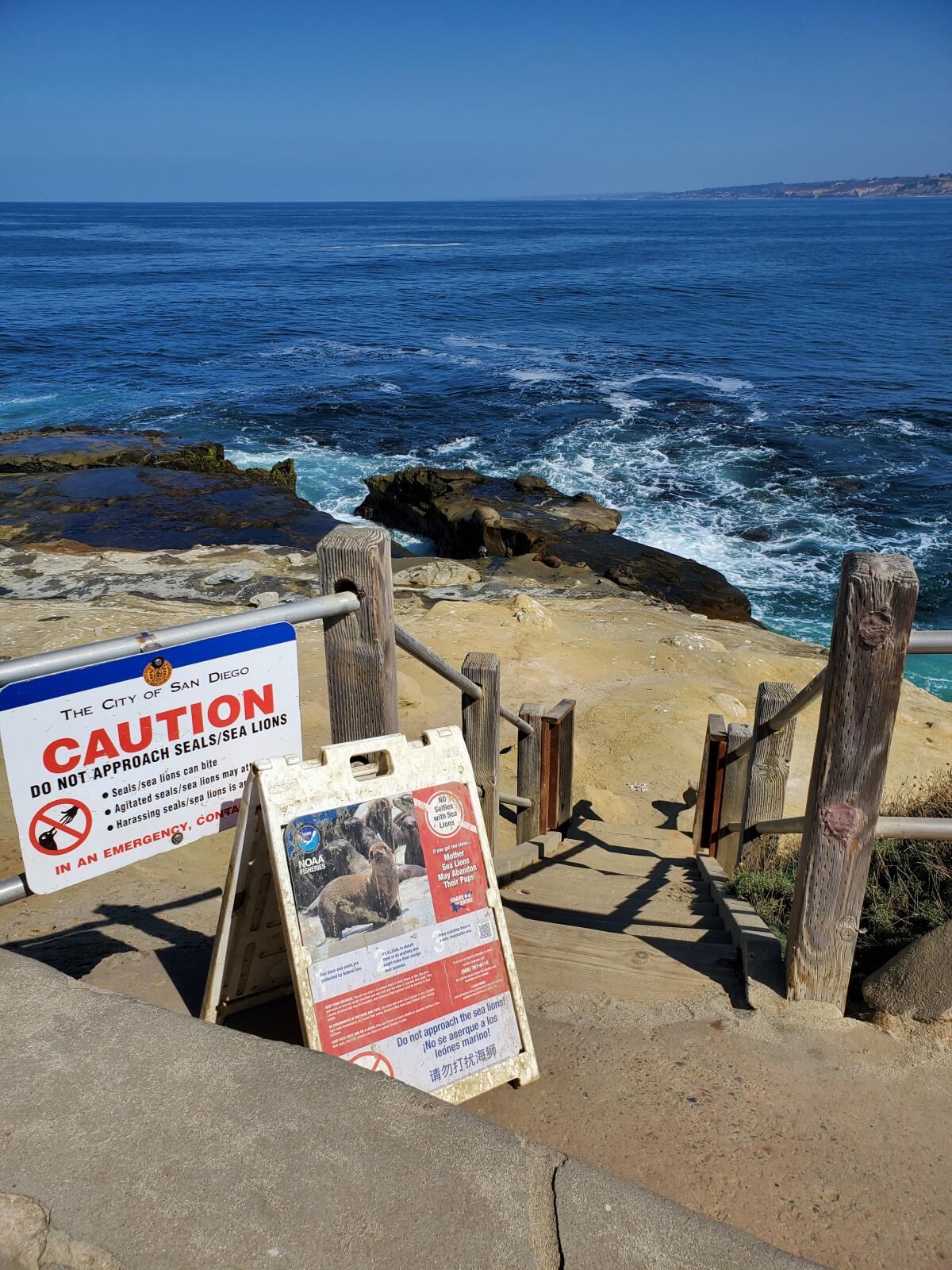 The stairway leading to the bluffs at Point La Jolla was open as of Sept. 16.