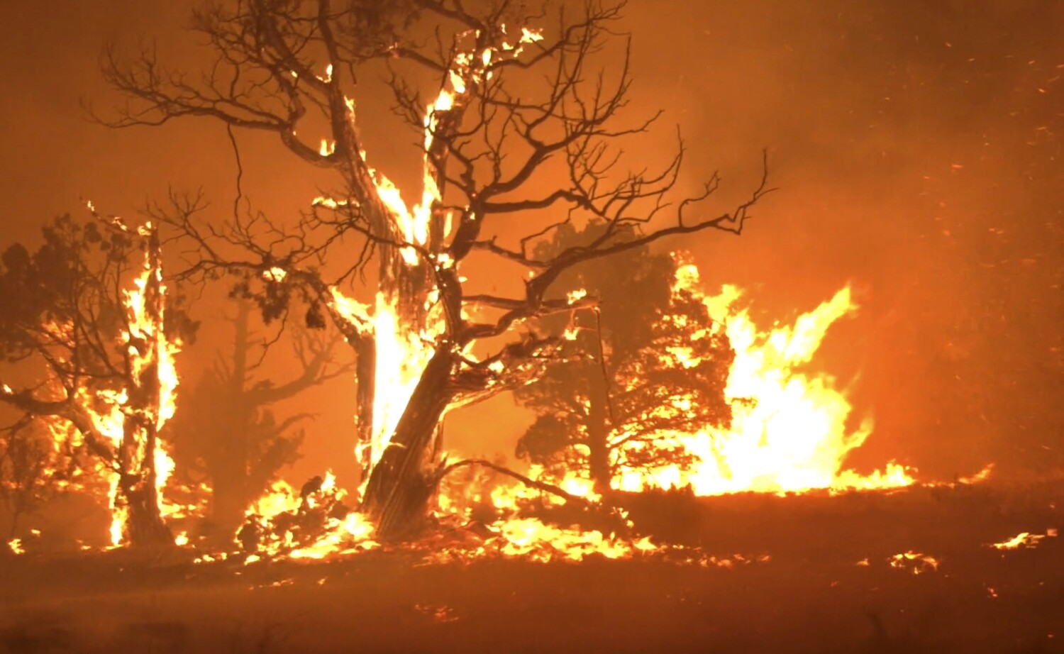 Northern California's Lava fire keeps growing, forcing thousands to flee their homes