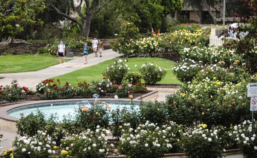 Balboa Park S Rose Garden Honored The San Diego Union Tribune