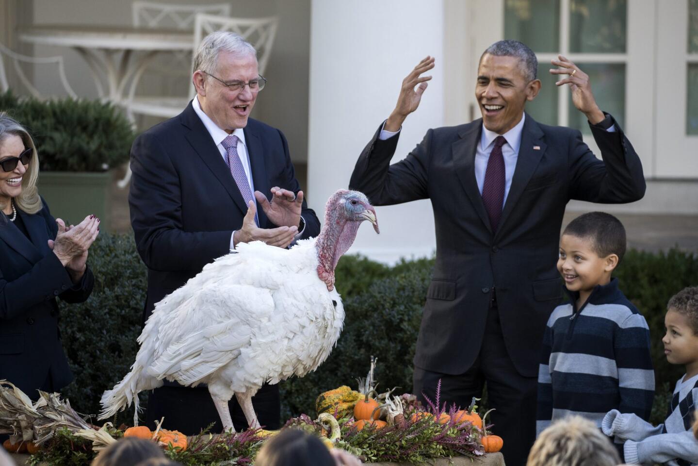 Obama perdonó la vida a dos pavos