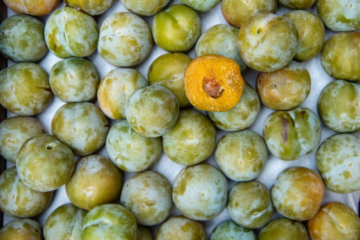 Greengage plums