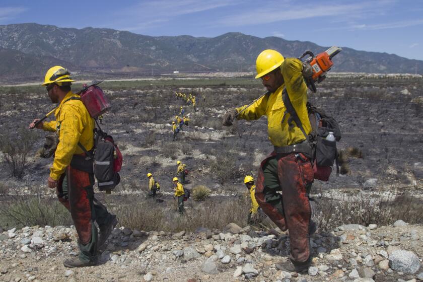 Firefighters Alex Pena, left, James Tamayo and others from the U.S. Forest Service work to douse hot spots in the Etiwanda fire.