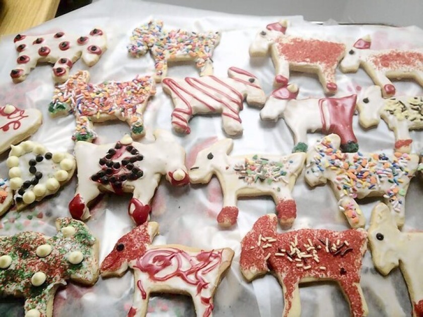 Some of the many goat-shaped holiday sugar cookies sold for the fundraiser.
