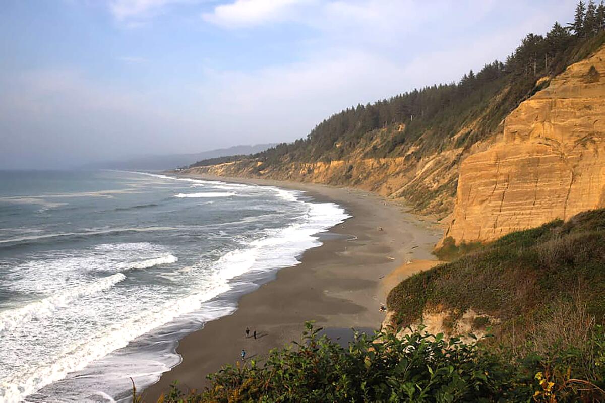 A beach with bluffs stretching into the distance