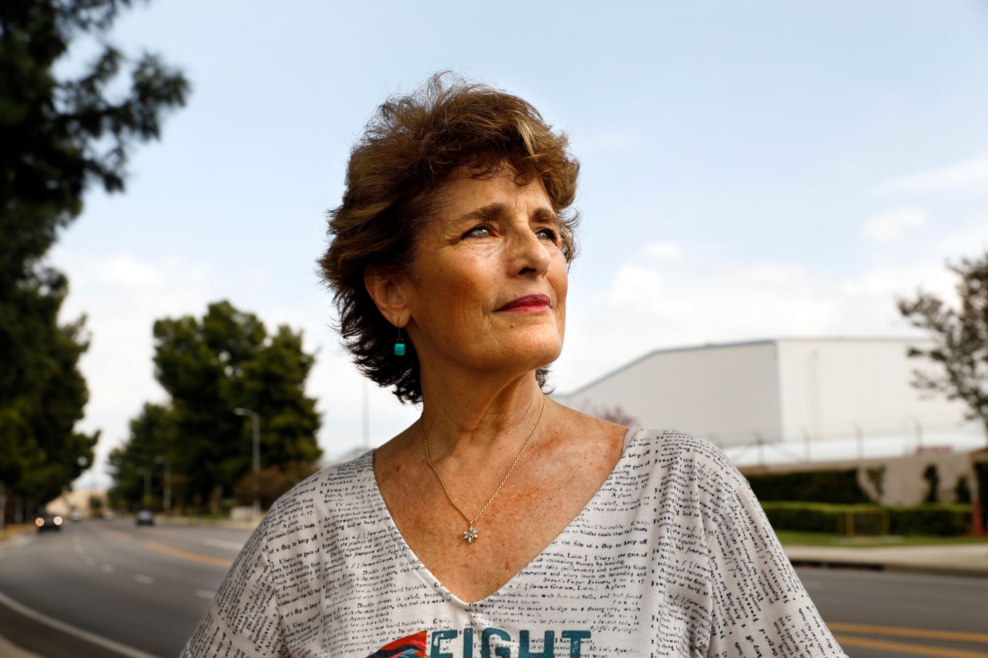 Sue Steinberg stands on a residential street in Lake Balboa; airplane hangars are visible behind her.