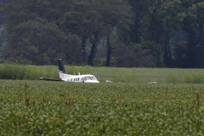 FILE - A stolen airplane rests in a field of soybeans after crash-landing near Ripley, Miss., on Sept. 3, 2022. Cory Wayne Patterson, 29, an airport worker who flew a stolen plane erratically over north Mississippi and threatened to crash into a Walmart in September, has died Monday, Nov. 14, 2022, in a federal prison in Miami, where he was being held while awaiting trial. (AP Photo/Nikki Boertman, File)