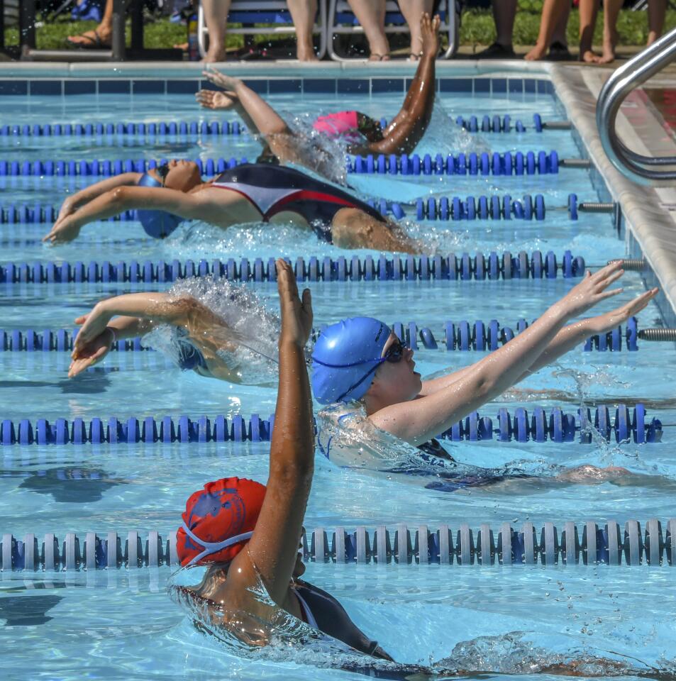 Swimmers are off from the start in a heat of the 11-12 girls 50 yard backstroke during the Columbia Neighborhood Swim League meet between host Clemens Crossing and Harper's Choice Saturday morning in Columbia.
