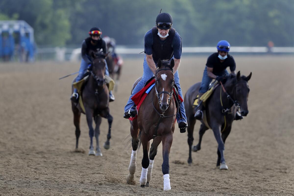 Tap It to Win, center, works out at Belmont Park in Elmont, N.Y.