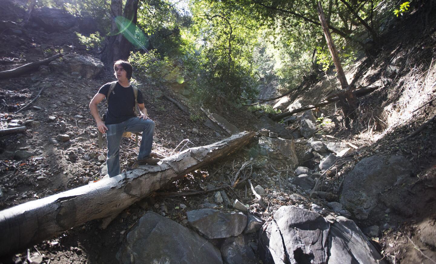 Angeles National Forest