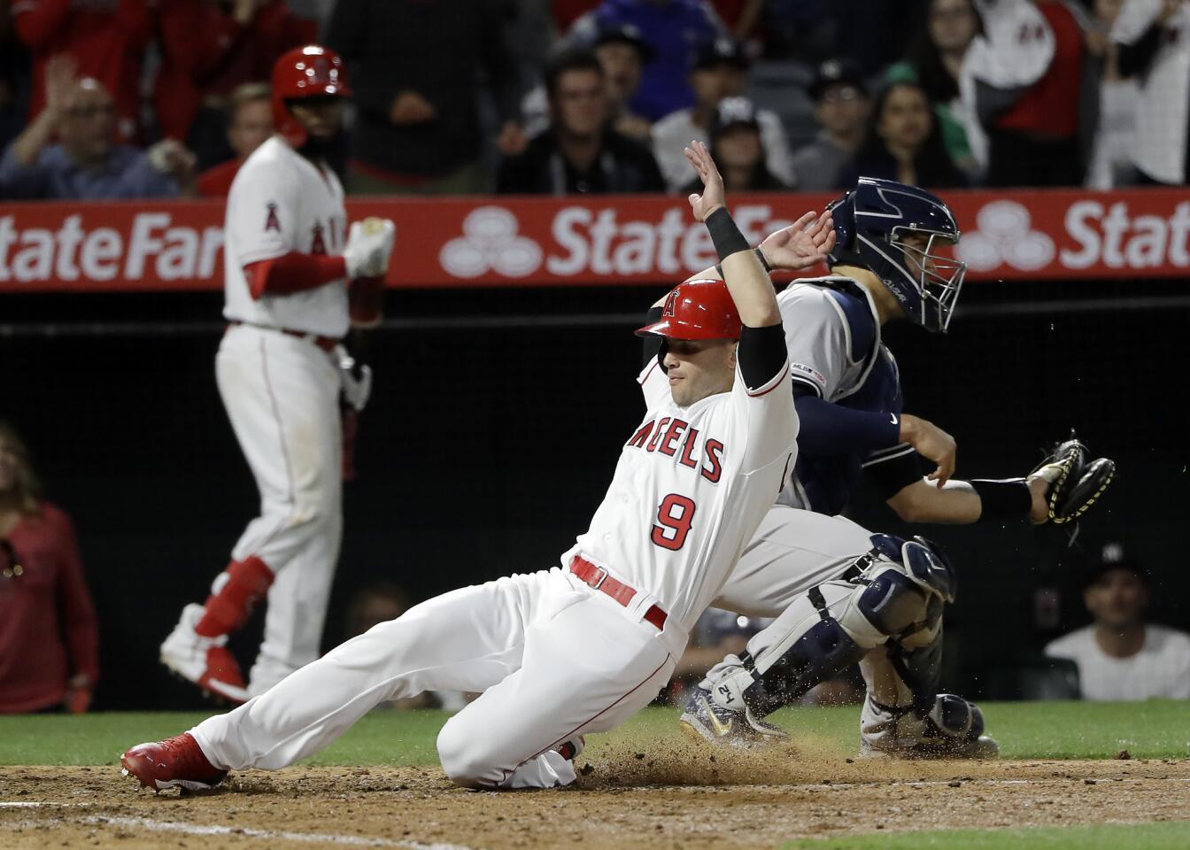 Los Angeles Angels' Tommy La Stella (9) scores past New York Yankees catcher Gary Sanchez on a single from David Fletcher during the sixth inning of a baseball game Thursday, April 25, 2019, in Anaheim, Calif. (AP Photo/Marcio Jose Sanchez)