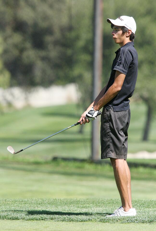 Photo Gallery: GCC mens golf in Western State Conference match at Oakmont Country Club