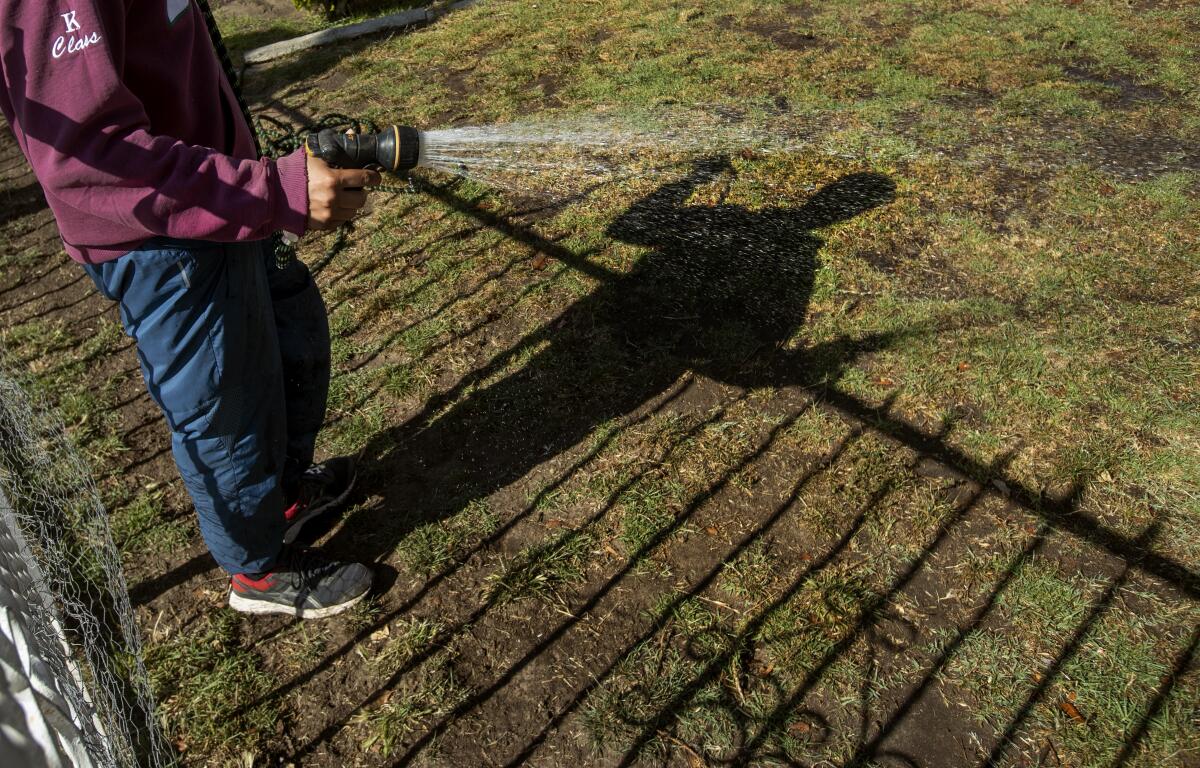 A man uses a hose to spray water on a lawn. 