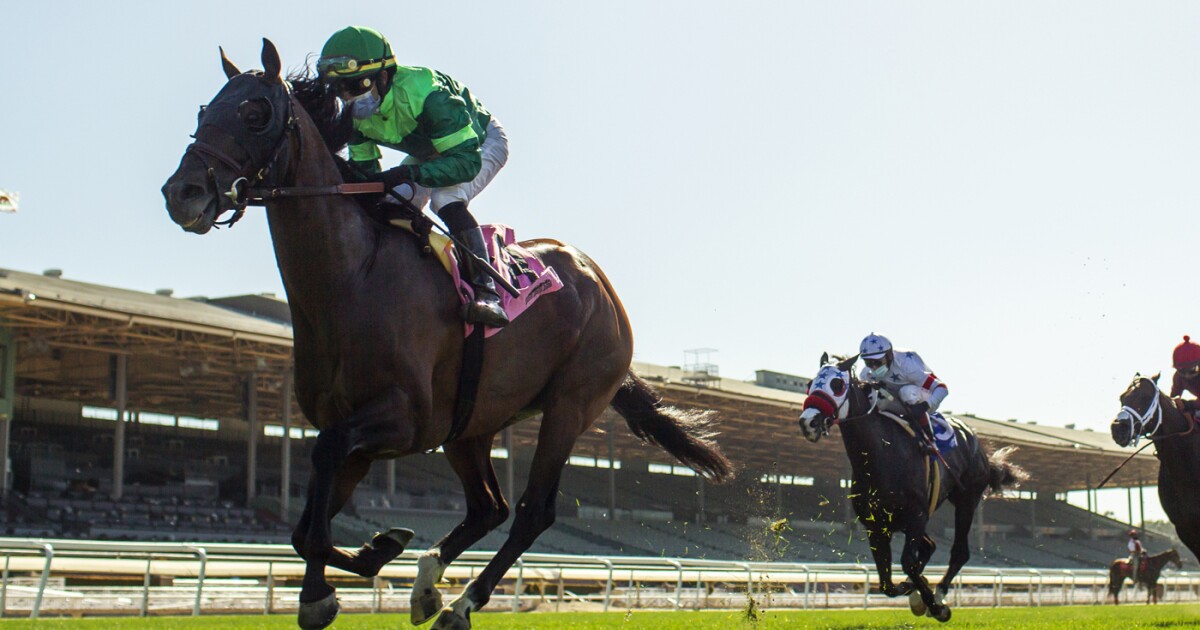 Santa Anita Entries For Friday May 29 The San Diego Union Tribune santa-anita-entries-for-friday-may-29-the-san-diego-union-tribune