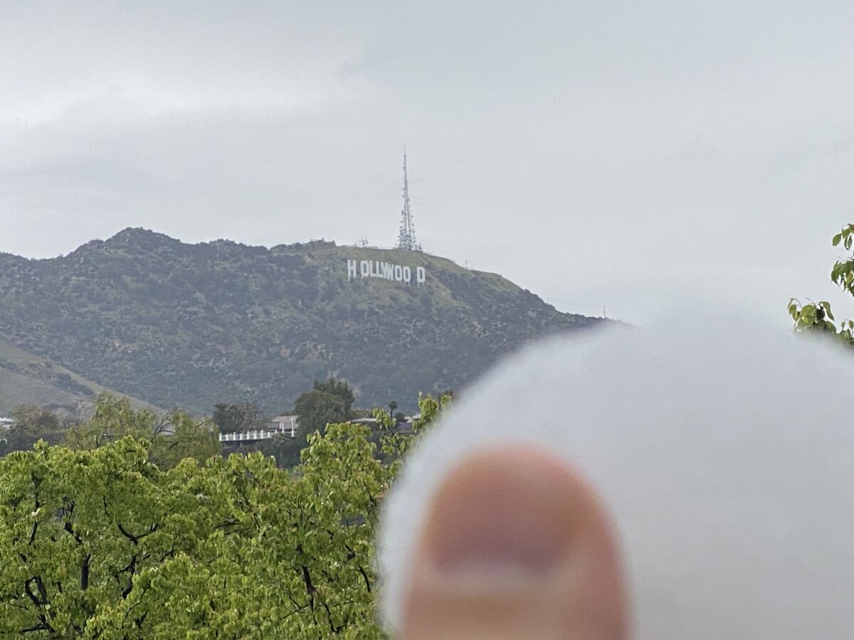 Jeff Zarrinnam takes a selfie holding a snowball with the Hollywood sign in the background