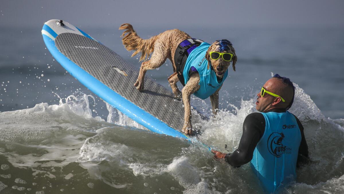 Para surfers from around the globe compete this week in Huntington Beach –  Orange County Register