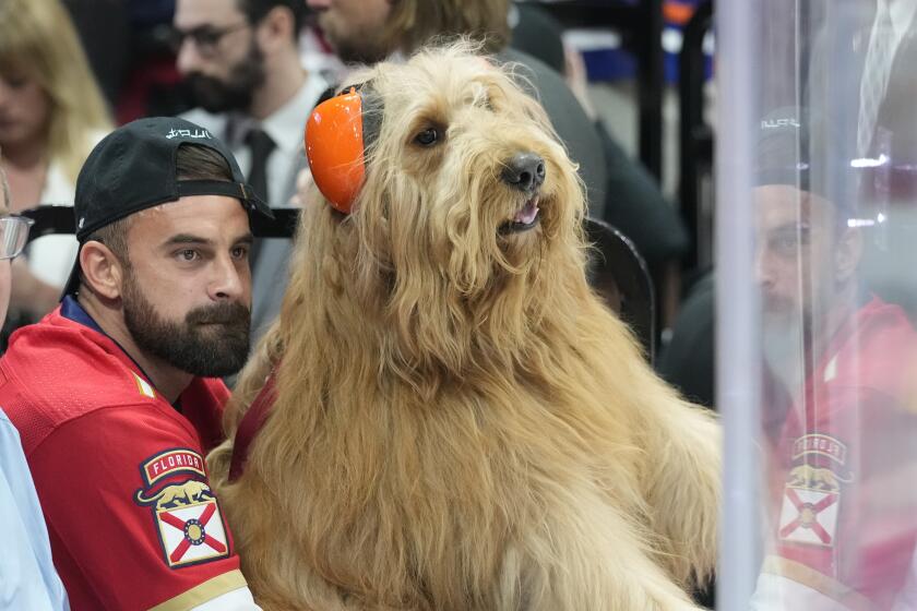 Brodie, right, and his owner Cliff Brush Jr. attend Game 7 of the NHL hockey Stanley Cup Final