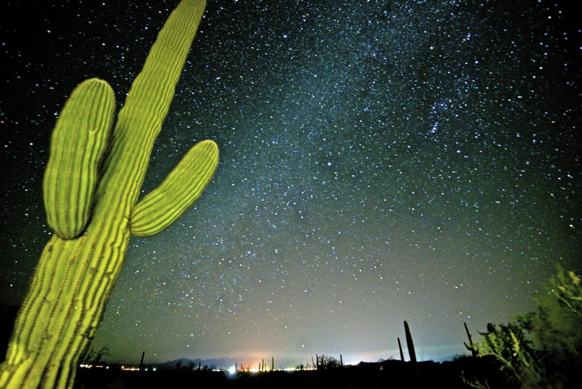 A star-filled night sky looms over a saguaro cactus near Organ Pipe Cactus National Monument, Ariz. (Danita Delimont / Gallo Images)