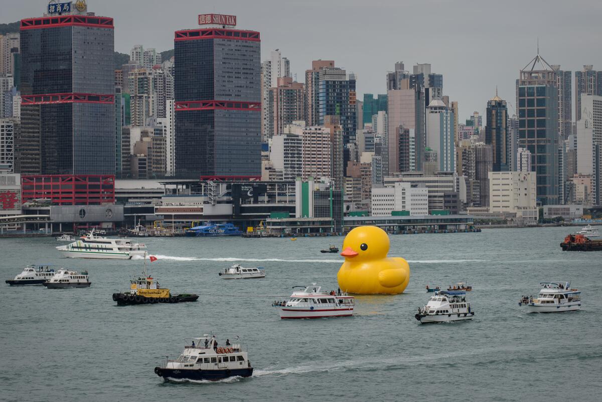 The 54-foot-tall inflatable Rubber Duck art piece floated around Victoria Harbour in Hong Kong last year.