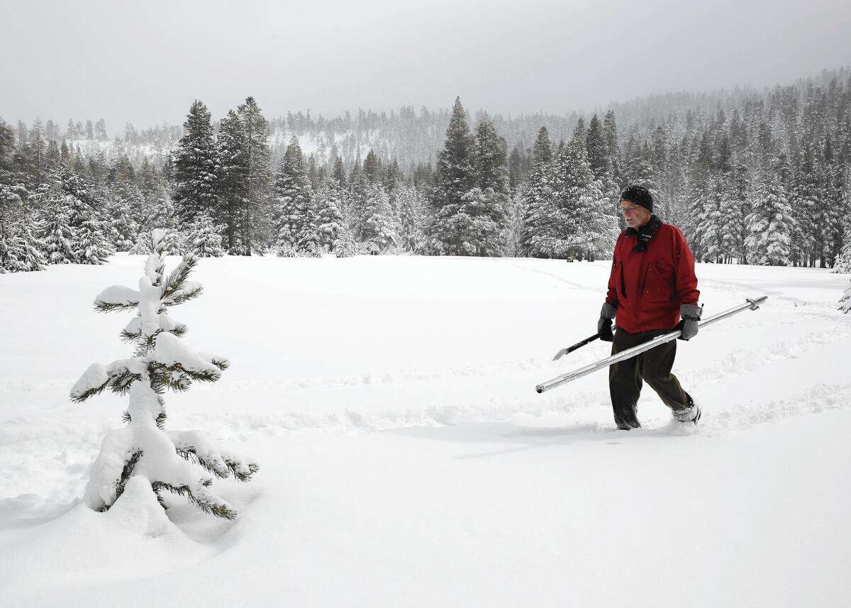 State snow surveyor Frank Gehrke crosses a meadow after conducting the second manual snow survey of the season at Phillips Station, Calif. The results were encouraging.