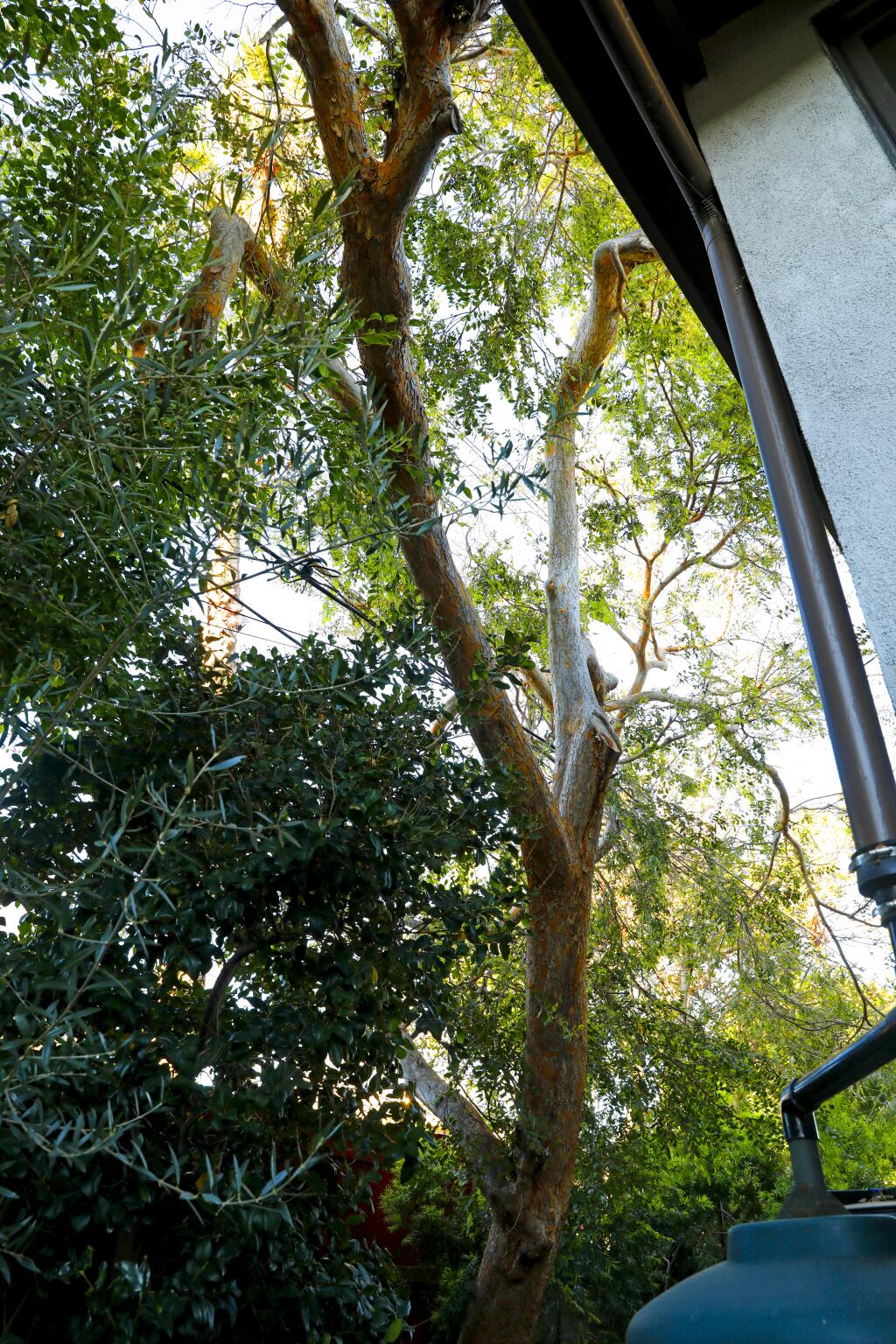 How a struggling single mom built an ADU, without killing a 60-year-old ...