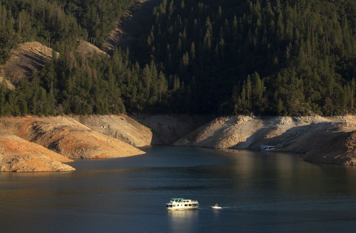 A years-long drought has dropped the water level at Shasta Lake, exposing the "bathtub ring."