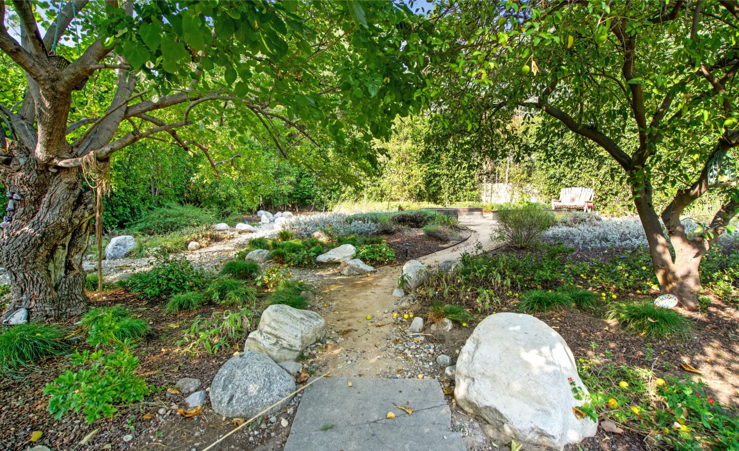 The garden.