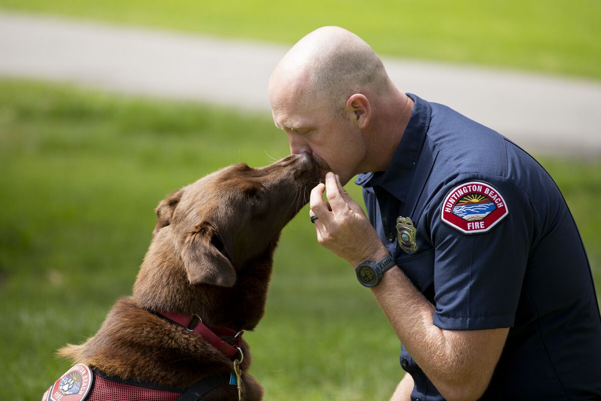 Kane Johnson, an engineer with the Huntington Beach Fire Department, works with peer support dog Kingman.