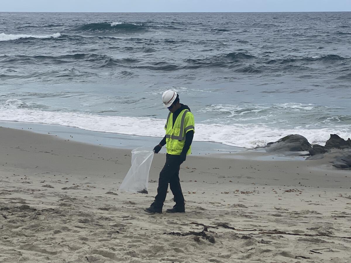 A Coast Guard crew member searches for tarballs at Windansea Beach in La Jolla on Monday.