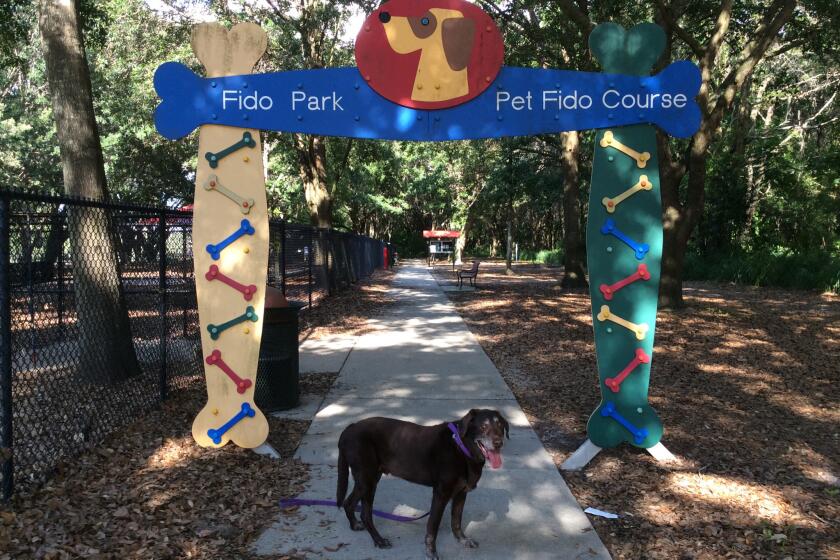 Adventures await at West Orange Dog Park in Winter Garden, which features plenty of shade, room to run, benches and tables plus toys to borrow. Buddy, a 13-year-old Labrador retriever, is a longtime patron.