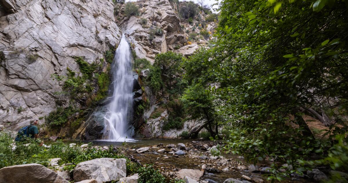 Angeles National Forest is reopening spring break. Where is this. Angeles National Forest is reopening spring break. Where is this.