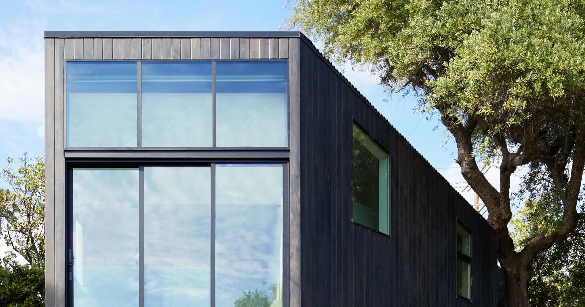 Saving an olive tree inspired this modern remodel with killer reservoir views Saving an olive tree inspired this modern remodel with killer reservoir views