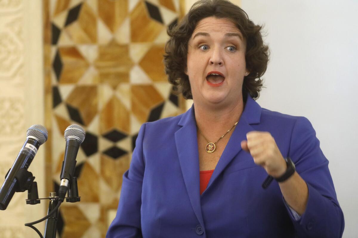 Rep. Katie Porter speaking at two microphones, one hand in a fist  