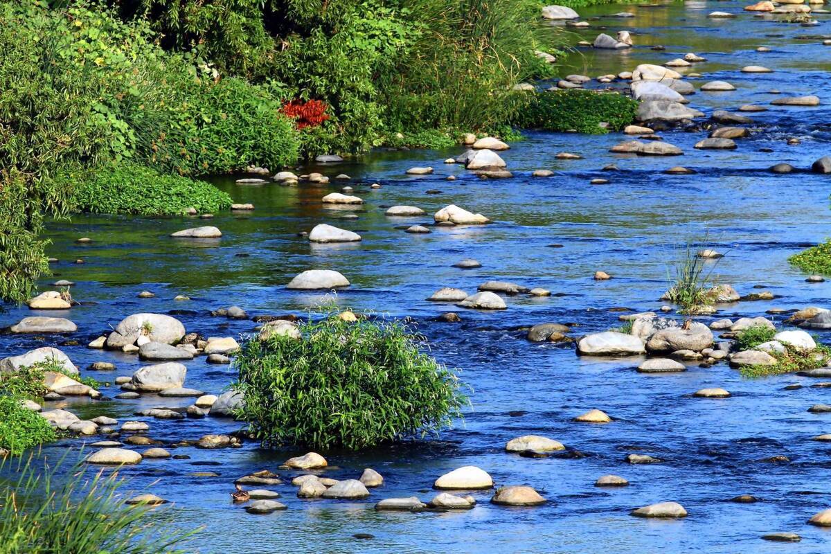 The Los Angeles River at the point where it flows under Fletcher Drive.