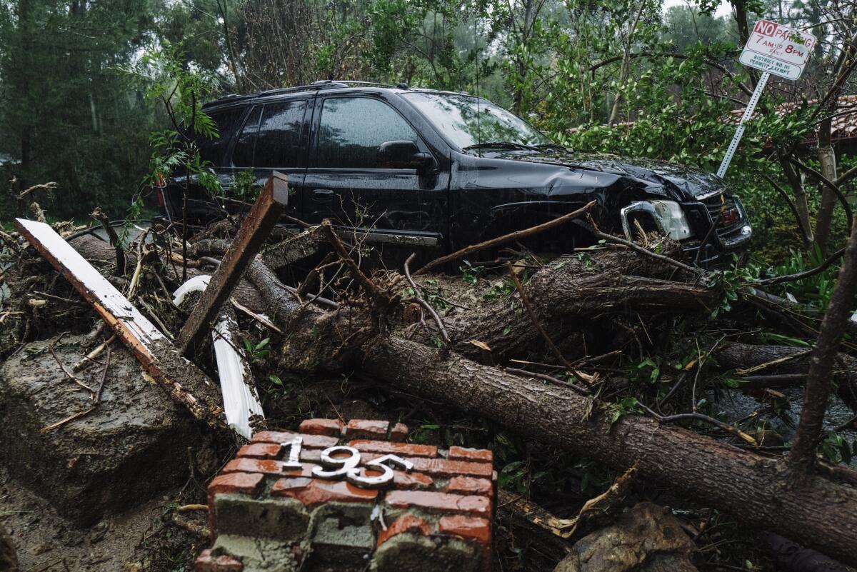Debris and a fallen tree surround a black SUV.