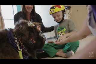 Watch a pet therapy dog at work