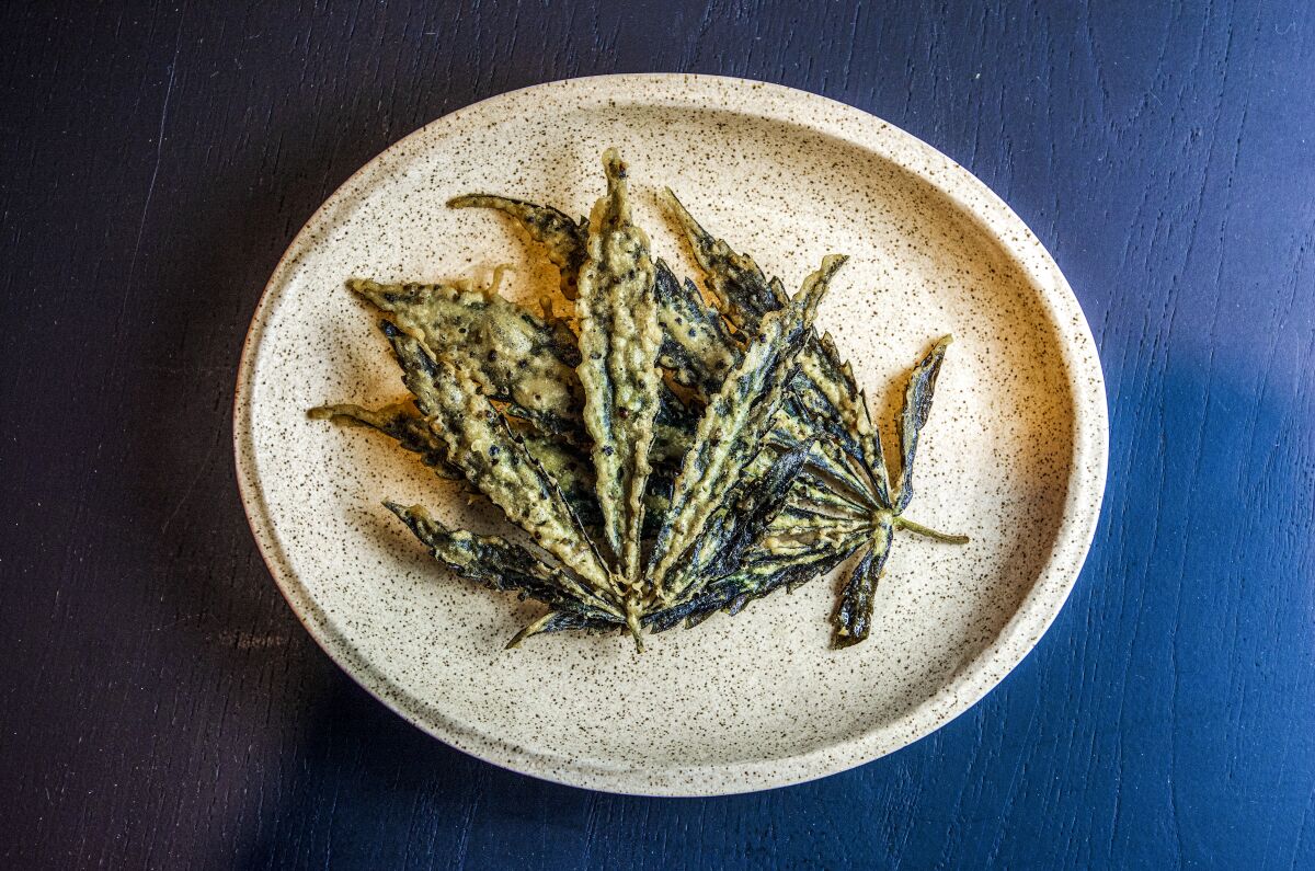 A photo of battered-and-fried whole hemp leaves on a plate