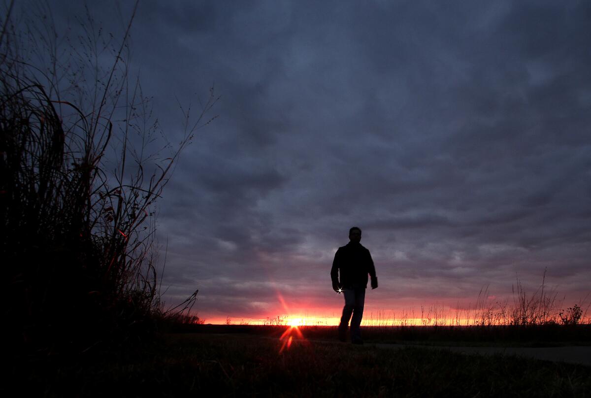 Plants and a man in the distance are seen in silhouette against a cloudy gray sky as the sun sets on the horizon