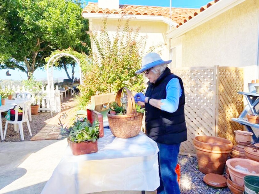 Club member Jeanie Espy works on a plant design.