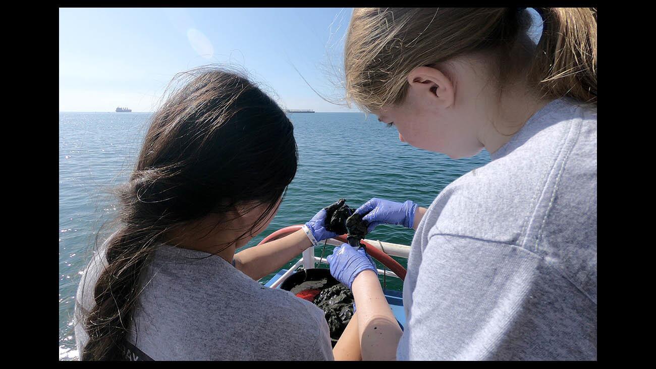 Clark Magnet High School Environmental Geographic Information Systems class students Shaye Holladay McCarthy, left, and Emily Woods, right, collect sediment samples from an area near the mouth of the Los Angeles River, in Long Beach on Wednesday, Sept. 19, 2018. The students, along with a L.A. County Dept. of Education educator spent about three hours on the Harbor Breeze Cruises ship The Christopher collecting samples in and around the mouth of the L.A. River in depths from eight to 30 feet. The samples will be tested for heavy metals and for DNA.