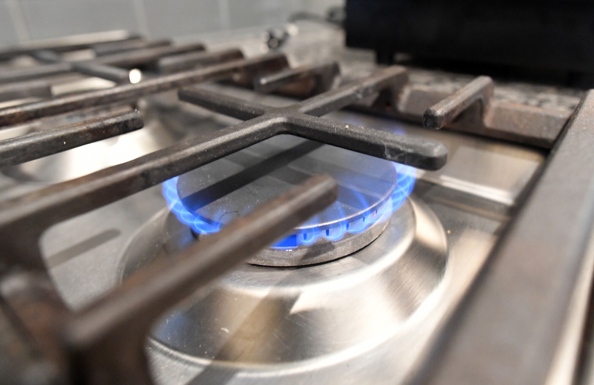 A flame burns blue on a gas stove burner.  