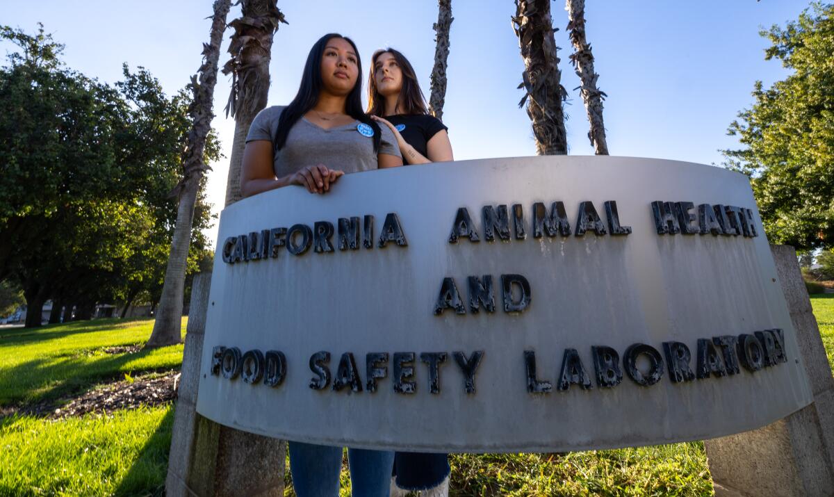 Workers at the California Animal Health and Food Safety Laboratory.