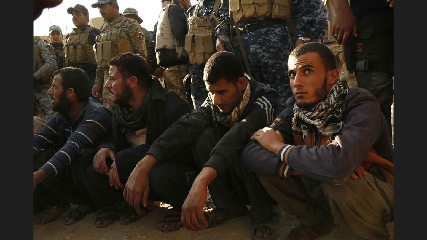 Members of the Iraqi Army and Iraqi police detain suspects in the village of Salhiya, Iraq, who were coming from the direction of Mosul.