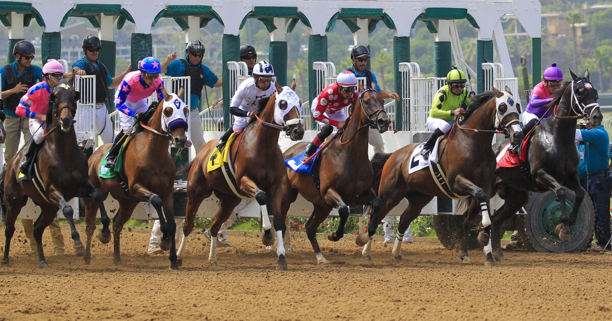Column: Voters are turned off by Props. 26 and 27. Racing tracks should pick a better horse next time