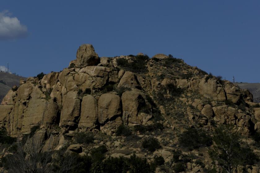 Stoney Point Park attracts all sorts of climbers, from beginners to advanced students.