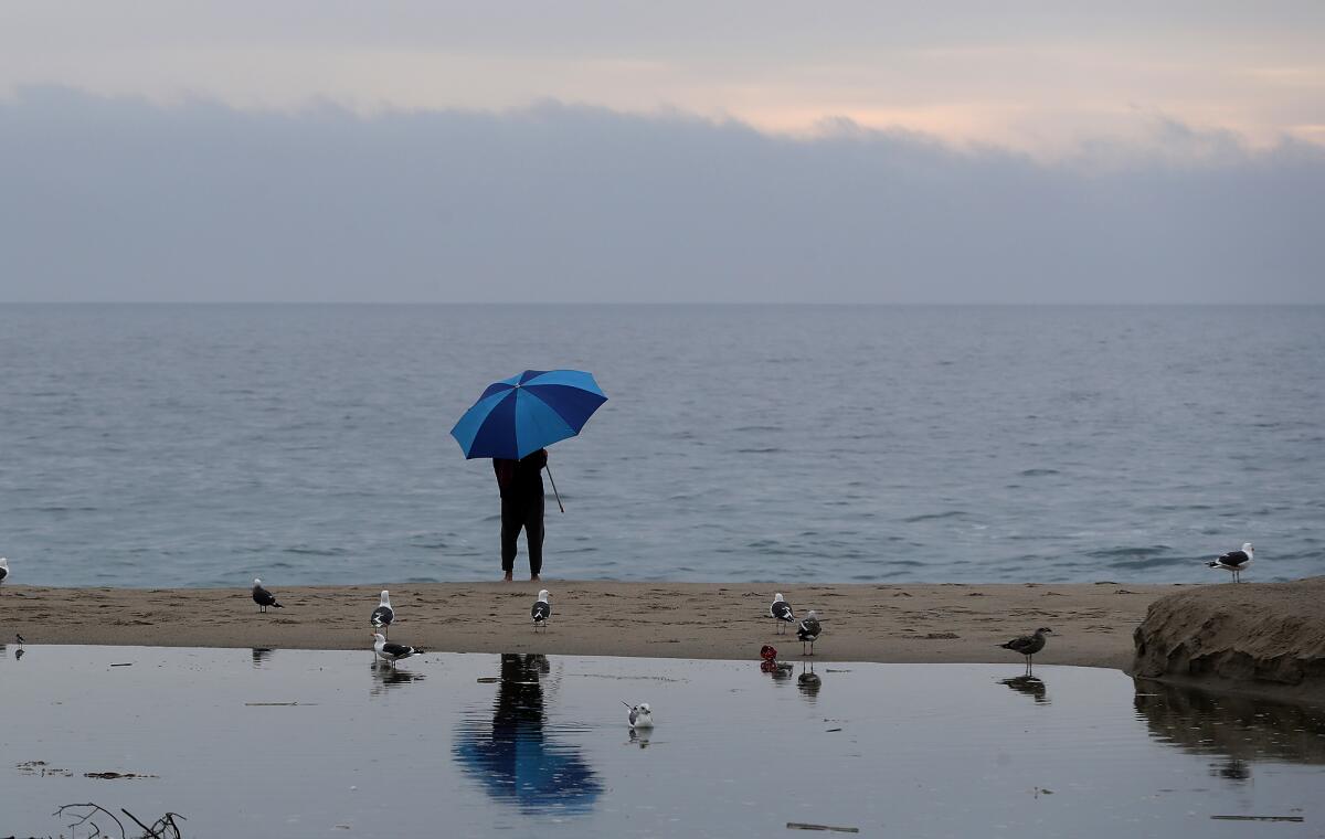 Laguna Beach resident Jorge Carey watches the surf as a light rain begins to fall in Laguna Beach on Tuesday.
