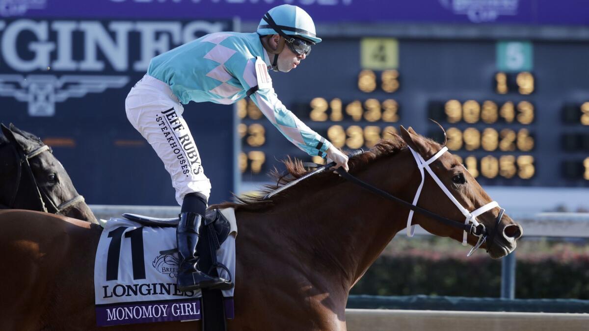 Florent Geroux rides Monomoy Girl to victory in the Breeders' Cup Distaff at Churchill Downs on Saturday in Louisville, Ky.