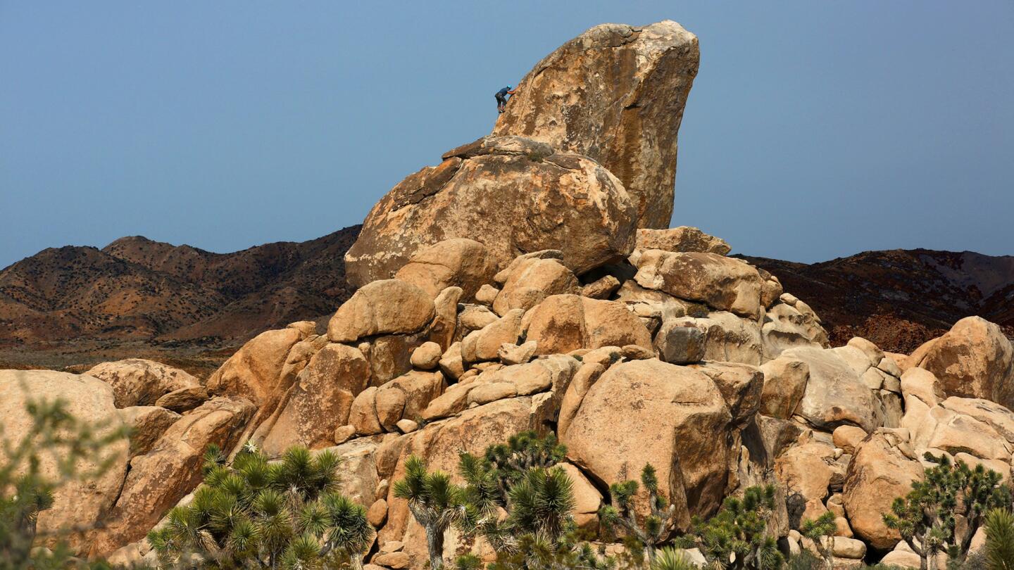 Graffiti in Joshua Tree National Park